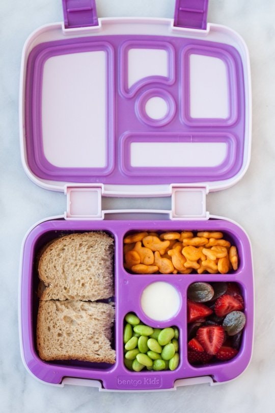 Kanak-kanak bento lunch box